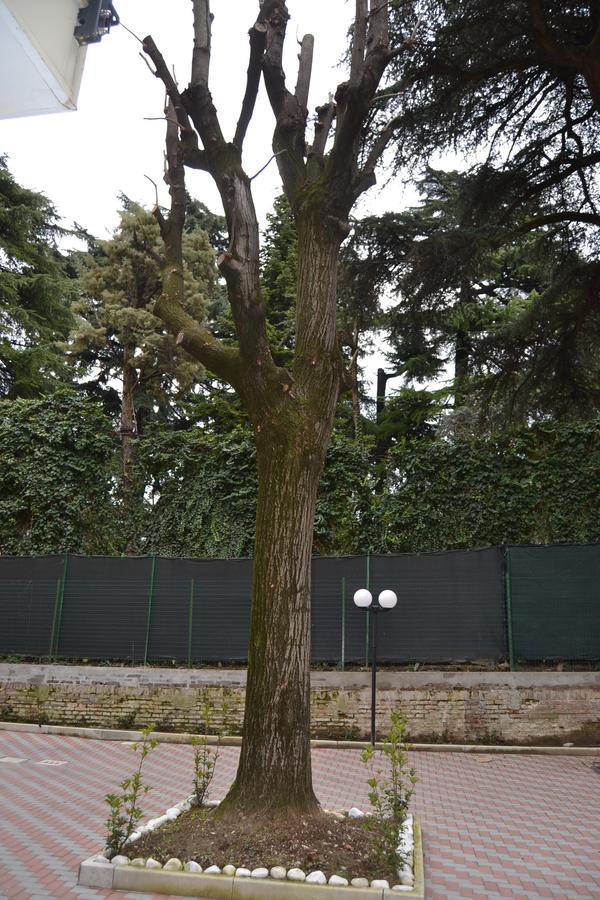 Porte Di Bologna Luaran gambar